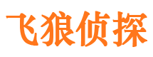 雄县外遇出轨调查取证